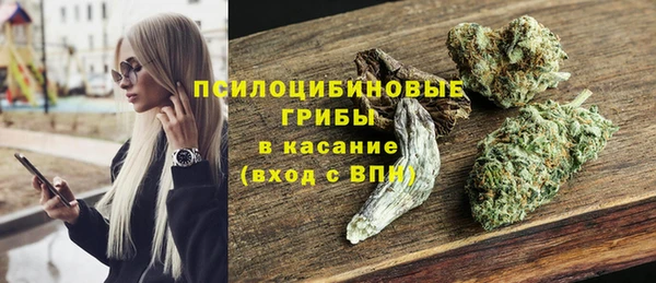 гашик Володарск