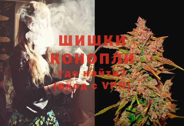 гашик Володарск
