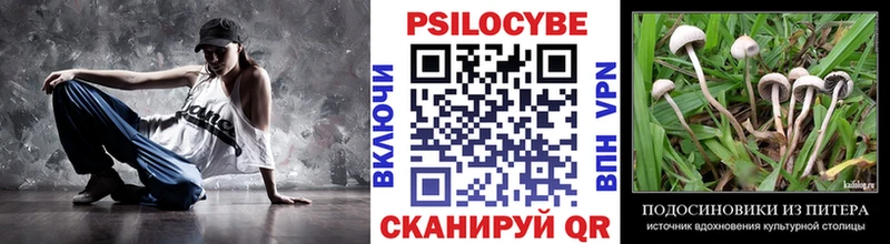 Купить  Всеволожск  Псилоцибиновые грибы мицелий 